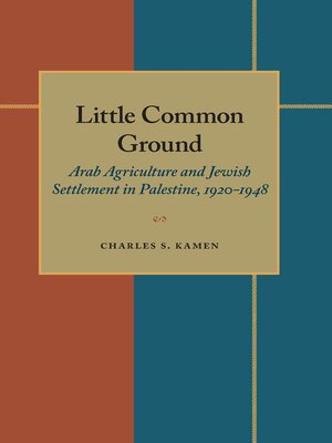 cover image of Little Common Ground